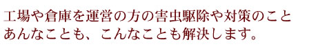 工場・倉庫を運営の方の害虫駆除、対策